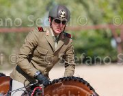 CRISTOFOLETTI AMICO MIO CampITA2013- S5 9376 : AMICO MIO, CRISTOFOLETTI ROBERTO, Campionati Italiani 2013, Cattolica, Horse Riviera Resort, foto di Stefano Secchi ©